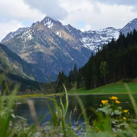 Πανσιόν Tetter Schladming