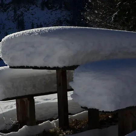 Πανσιόν Tetter Schladming