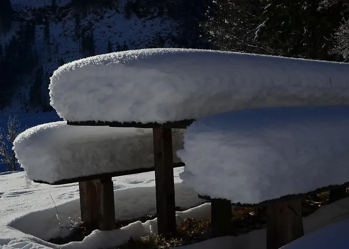 Πανσιόν Tetter Schladming